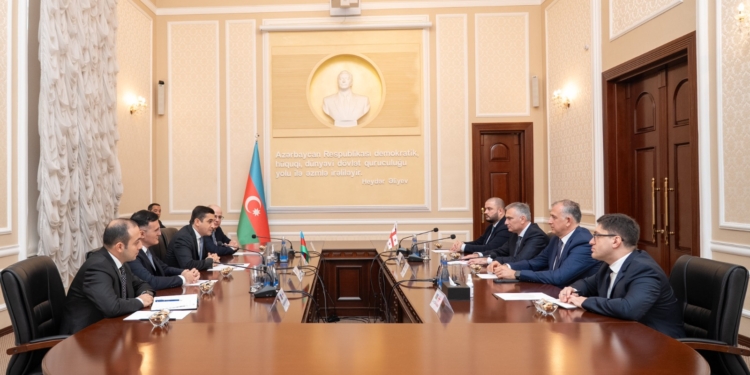 Fərid Əhmədov Gürcüstanın ədliyyə naziri ilə görüşüb