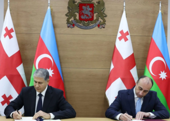 Vilayət Eyvazov Gürcüstana səfər edib