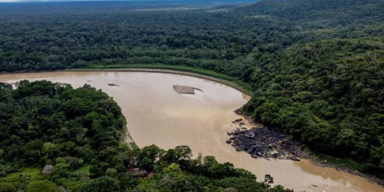"Soya qadağasının ləğvi fəlakətli ola bilər" - Amazona xəbərdarlıq