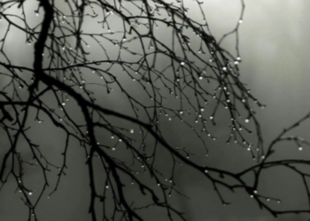 Şənbə günü çiskinli yağış yağacaq