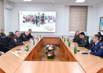 MMU-da Gürcüstan nümayəndə heyəti ilə görüş keçirilib