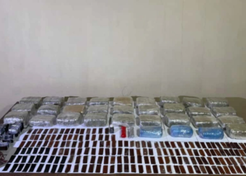 İrandan Azərbaycana PUA ilə 33 kiloqramdan çox narkotikin keçirilməsinin qarşısı alınıb