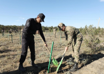 DİN-in əməkdaşları Zəfər Günü ilə əlaqədar ağacəkmə kampaniyası keçiriblər