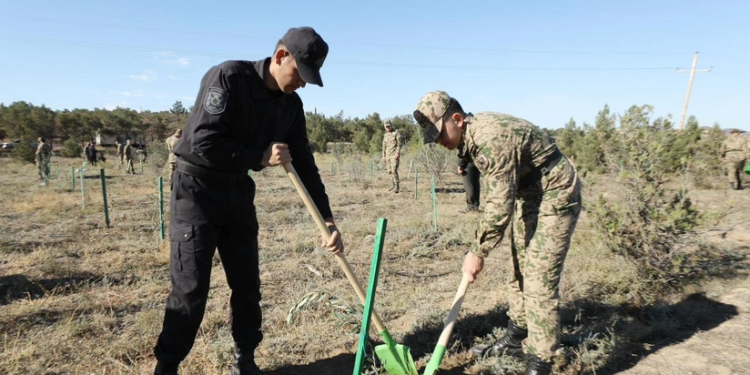 DİN-in əməkdaşları Zəfər Günü ilə əlaqədar ağacəkmə kampaniyası keçiriblər