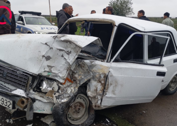 Yola çıxan at ağır qəzaya səbəb oldu – FOTO