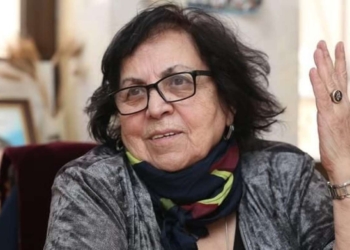 Əli Kərimlinin nə özü, nə də partiyası müxalifət deyil – Novella Cəfəroğlu