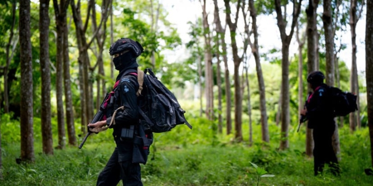Tayland Kambocadan ərazi almaq üçün əməliyyata başladı