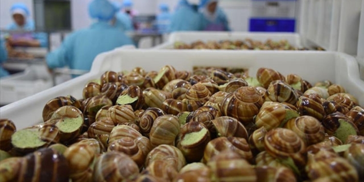 90 min avroluq ilbizlər oğurlanıb