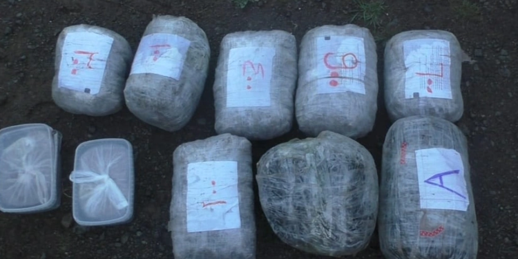 Salyanda 9 kiloqram narkotik satmaq istəyən şəxslər həbs olunub