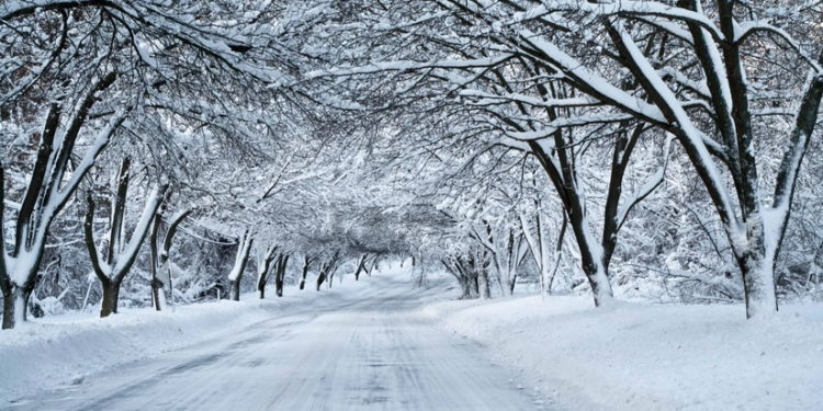 Sabah qar yağacaq - PROQNOZ