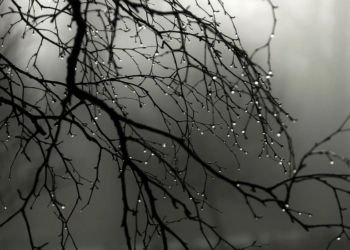 Sabah bəzi yerlərdə çiskin olacaq – PROQNOZ