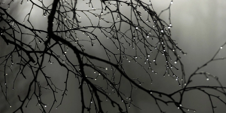 Sabah bəzi yerlərdə çiskin olacaq - PROQNOZ