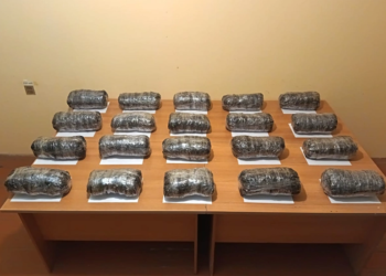 İrandan Azərbaycana 21 kiloqramdan çox narkotik keçirilməsinin qarşısı alınıb