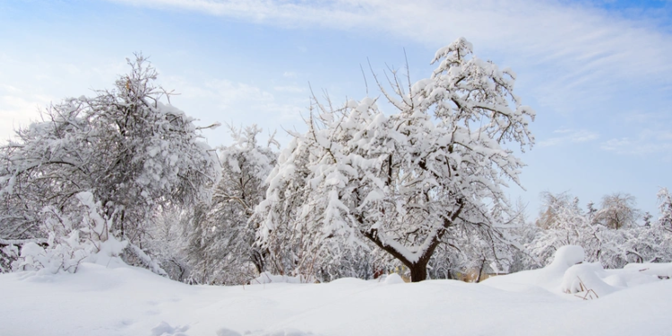 Kəlbəcər, Laçın, Qubadlı və Şahdağa qar yağır - FAKTİKİ HAVA