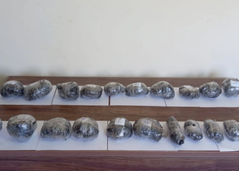 İrandan Azərbaycana 8 kq-dan çox narkotik keçirilməsinin qarşısı alınıb