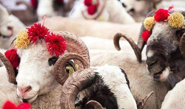 Qurban bayramı bu tarixdə qeyd ediləcək