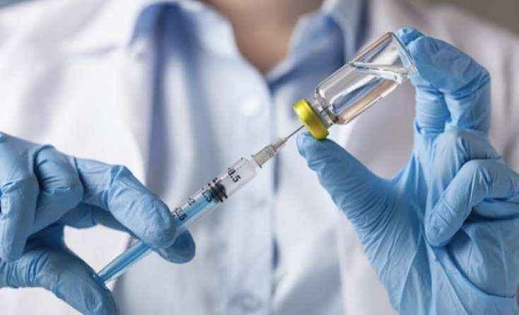 Azərbaycanda bu şəxlər peyvənd olunacaq