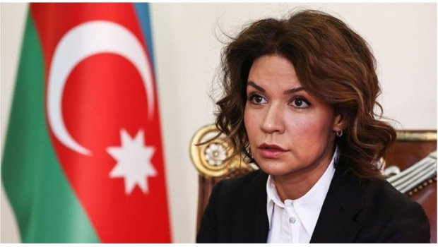 Səfir təyin edilən Nərminə Mustafayeva kimdir? - DOSYE