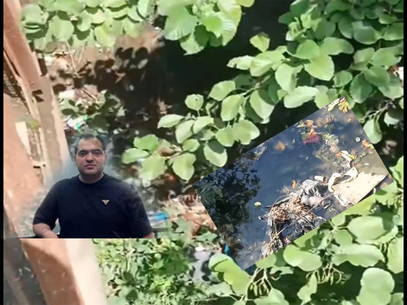 Qaraşov Lənkəran sakinlərinin şikayətlərini niyə eşitmir? – Küçə zibilliyə çevrilib